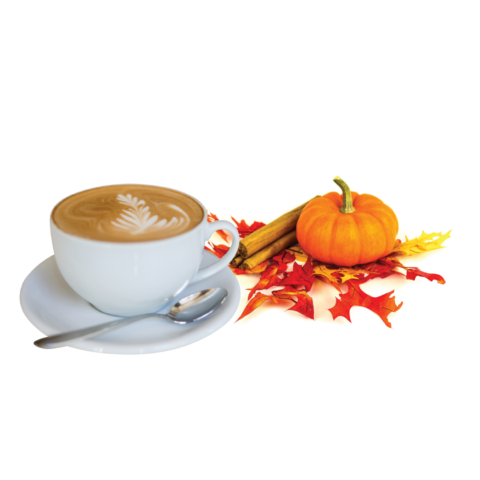 Pumpkin Spice Latte An essential fall favorite, this flavor is creamy, subtly spiced, and made with real pumpkin puree.
