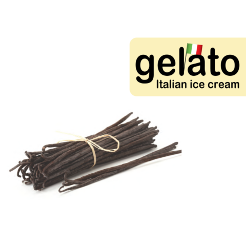 Vanilla Bean Gelato A powerfully authentic vanilla flavor blast because it’s made with real vanilla beans!