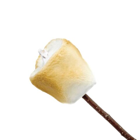 Toasted Marshmallow Natural and artificial flavorMelts in your mouth, just like the original. Top with graham cracker crumbs and chocolate for a s’more-inspired treat.